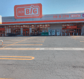ザ・ビッグ釈迦内店