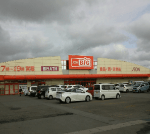 ザ・ビッグ能代長崎店